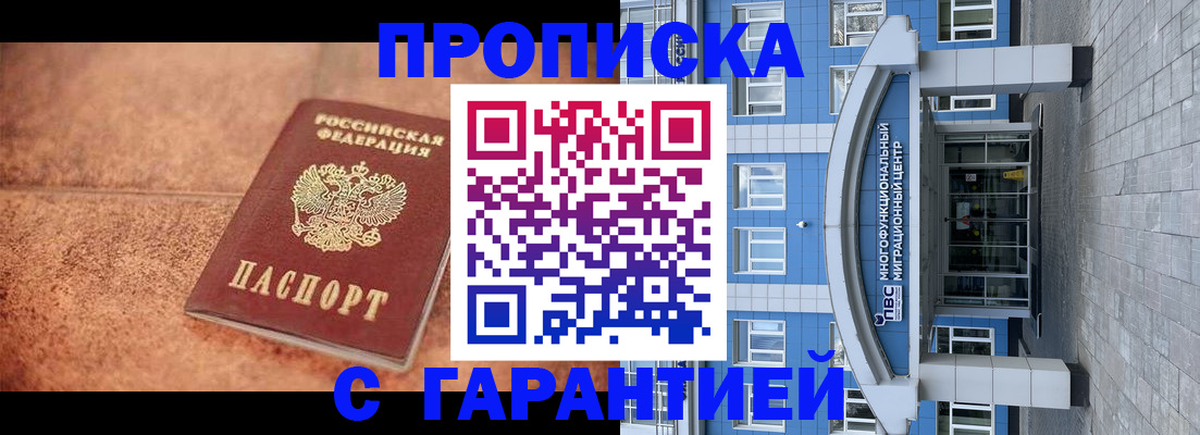 где прописаться в Дмитрове