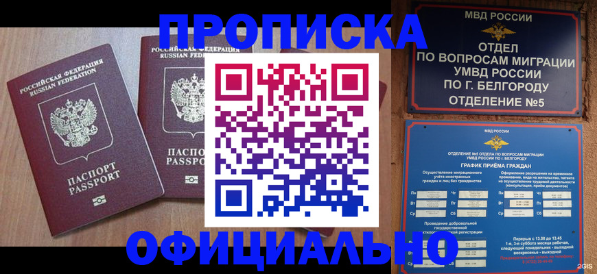 найти адрес прописки в Дмитрове